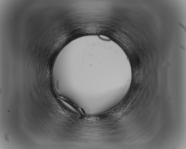 X0000097000407200802291152