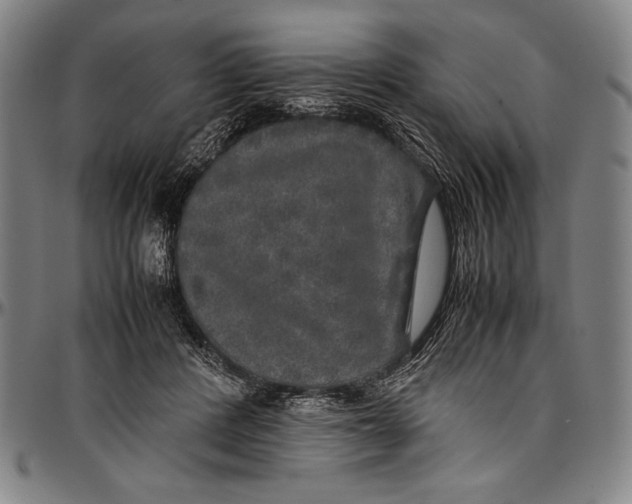 X0000097000408200802291152