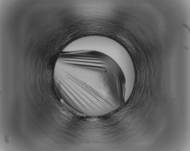 X0000097000409200802291152