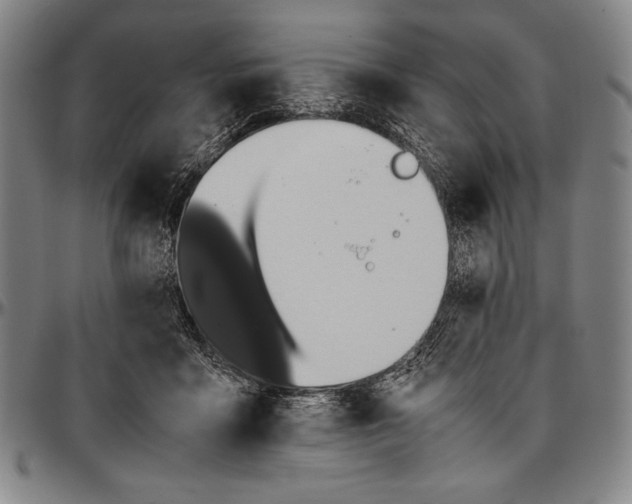 X0000097000411200802291152