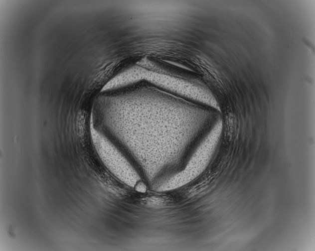 X0000097000412200802291152