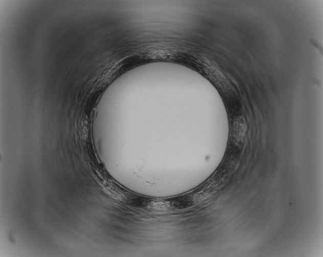 X0000097000413200802291152