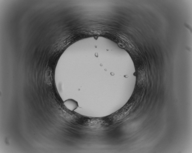 X0000097000414200802291152