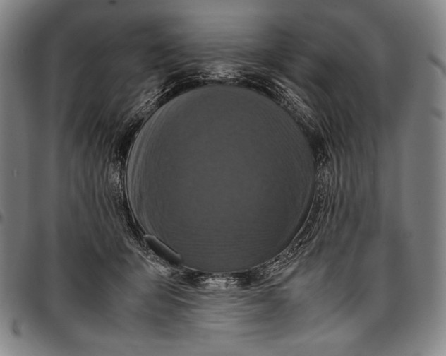 X0000097000415200802291152