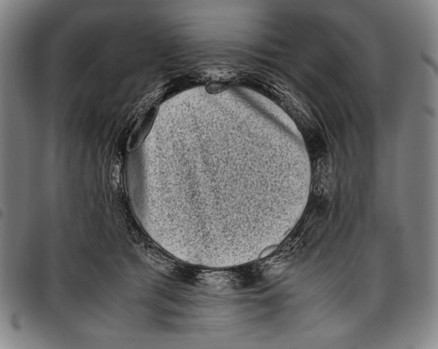 X0000097000417200802291152