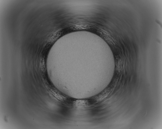 X0000097000418200802291152