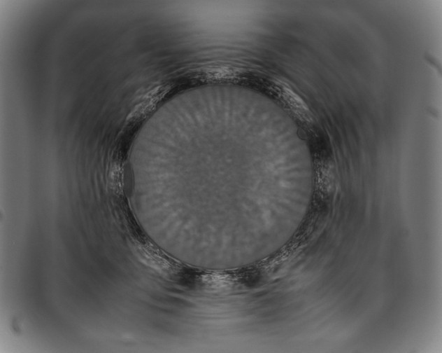 X0000097000419200802291152