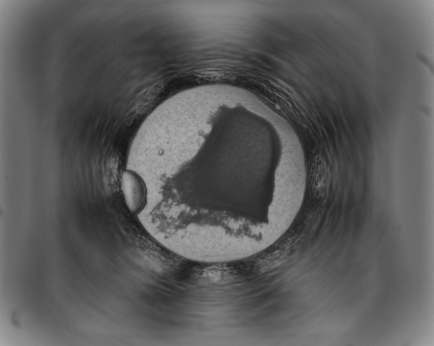 X0000097000420200802291152