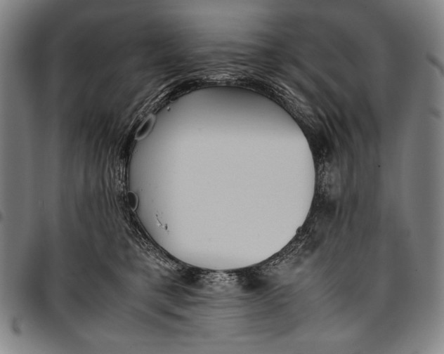 X0000097000421200802291152