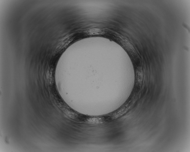 X0000097000422200802291152