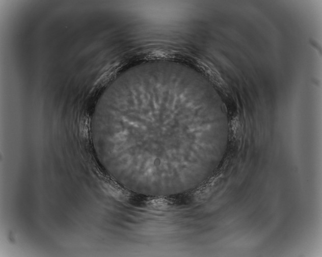 X0000097000423200802291152