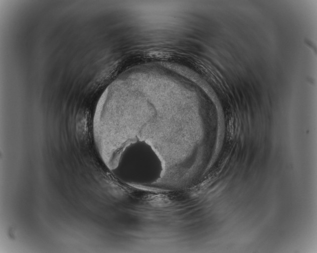 X0000097000424200802291152