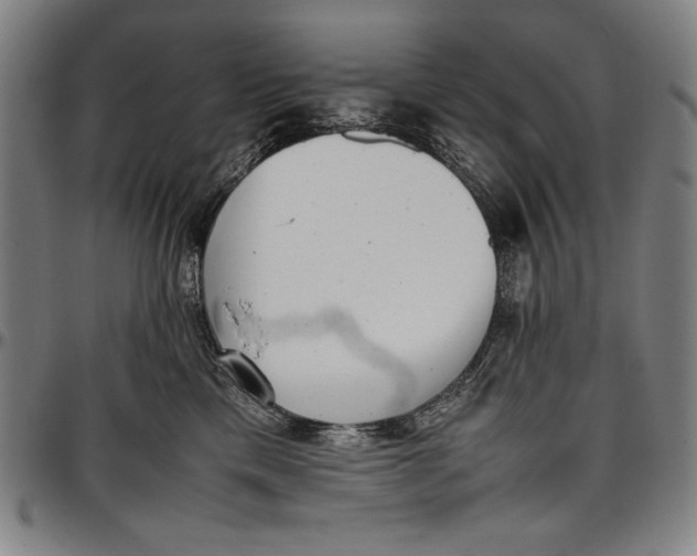 X0000097000425200802291152