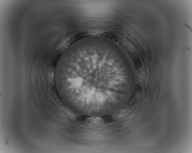 X0000097000427200802291152