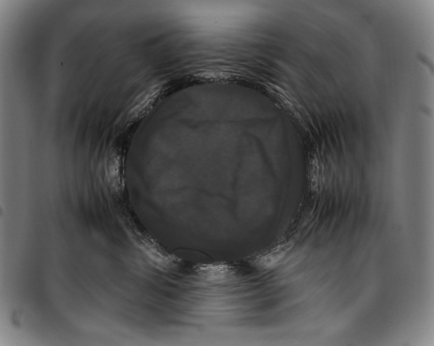 X0000097000428200802291152