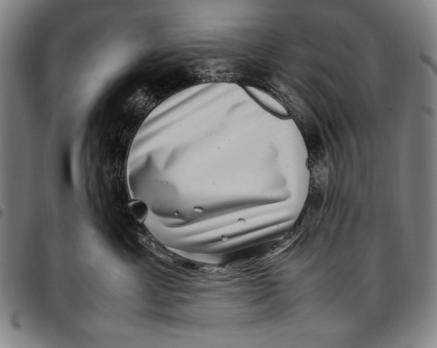 X0000097000429200802291152