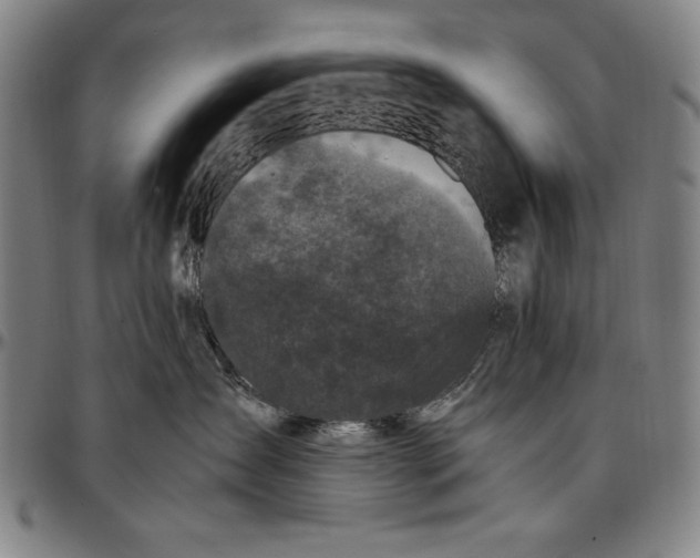 X0000097000431200802291152