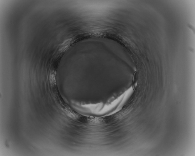 X0000097000432200802291151