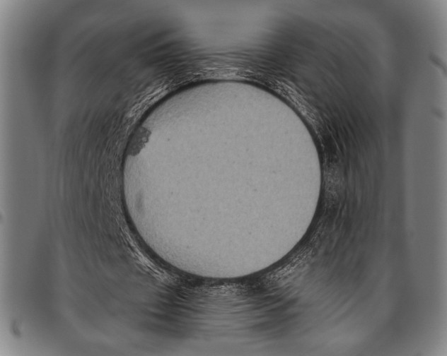 X0000097000433200802291151