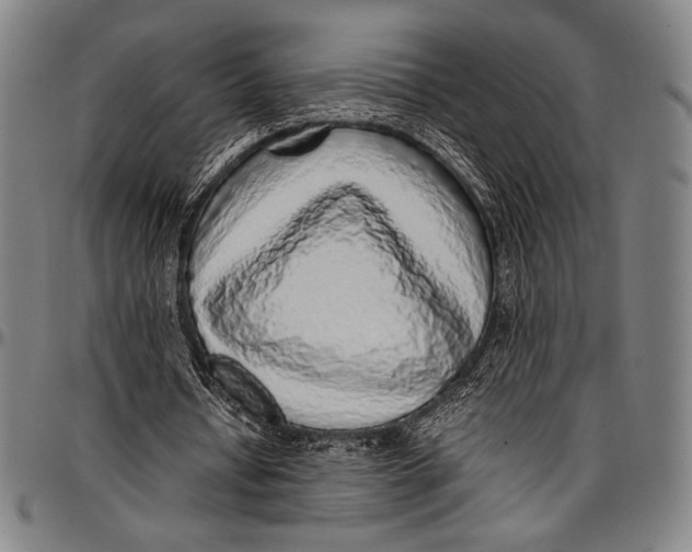 X0000097000434200802291151