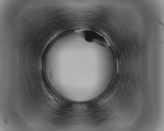 X0000097000435200802291151