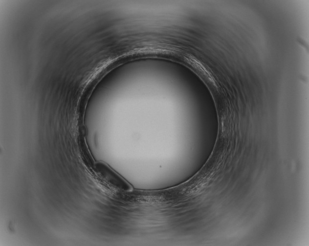 X0000097000436200802291151