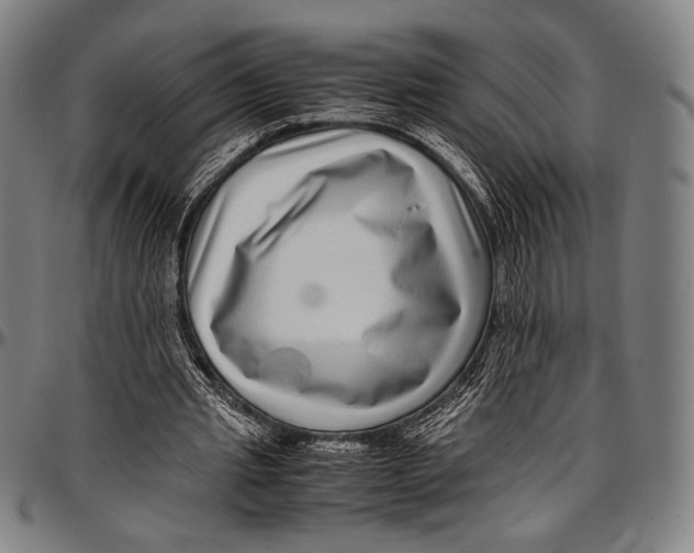 X0000097000437200802291151