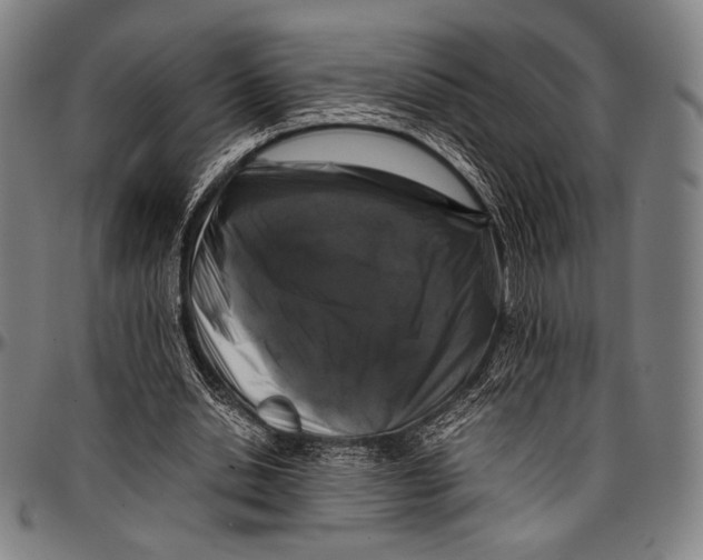 X0000097000438200802291151