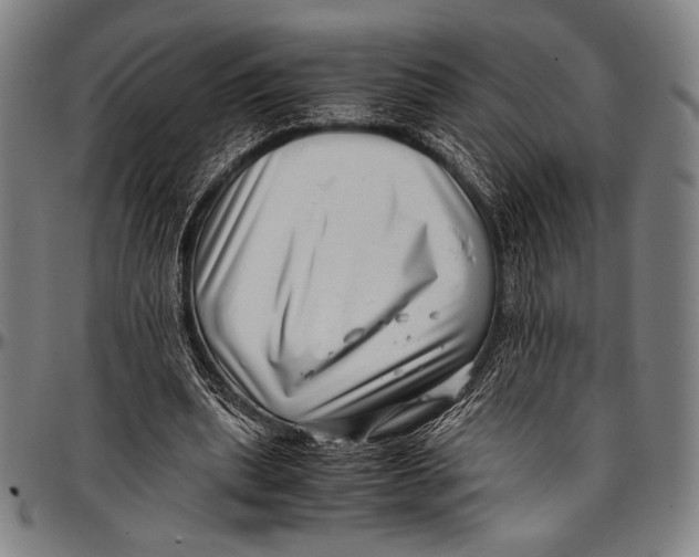 X0000097000439200802291151