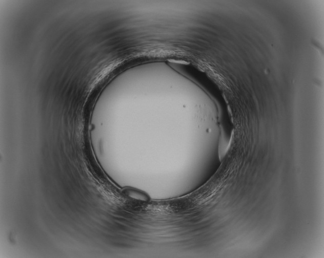 X0000097000440200802291151