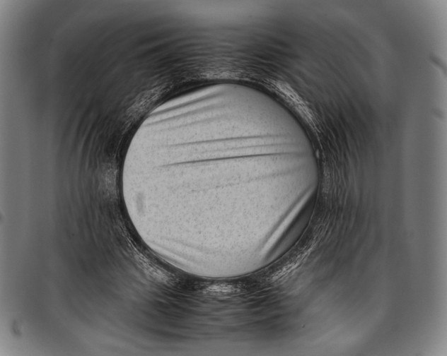 X0000097000441200802291151