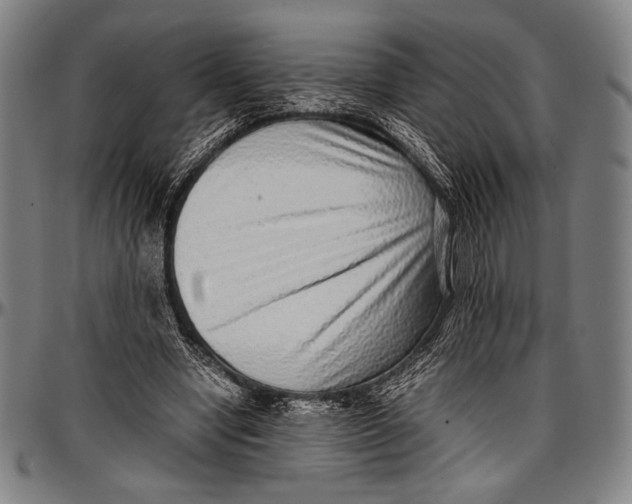 X0000097000442200802291151