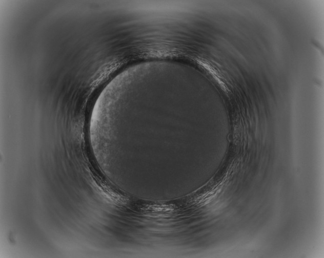 X0000097000443200802291151