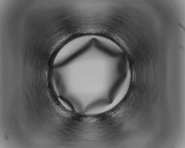 X0000097000444200802291151