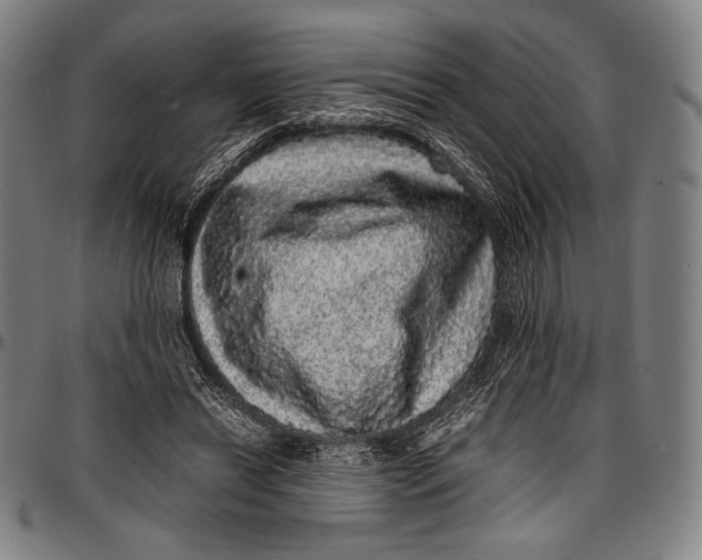 X0000097000446200802291151