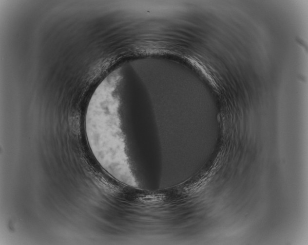 X0000097000447200802291151