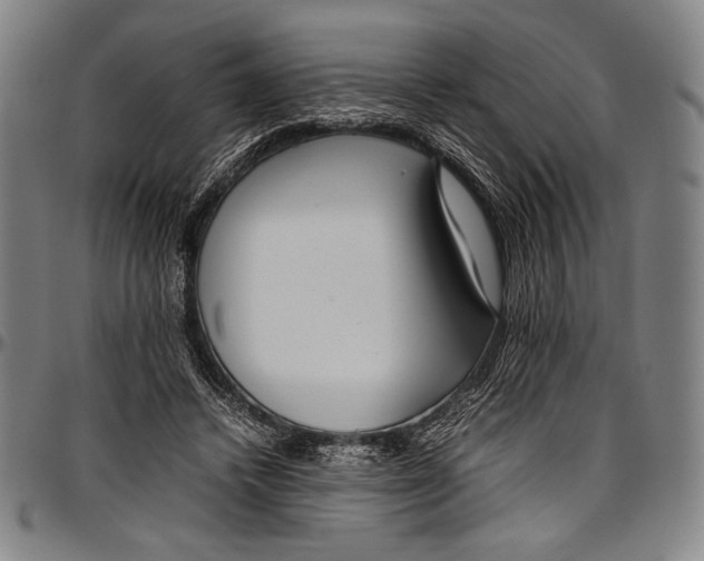 X0000097000448200802291151