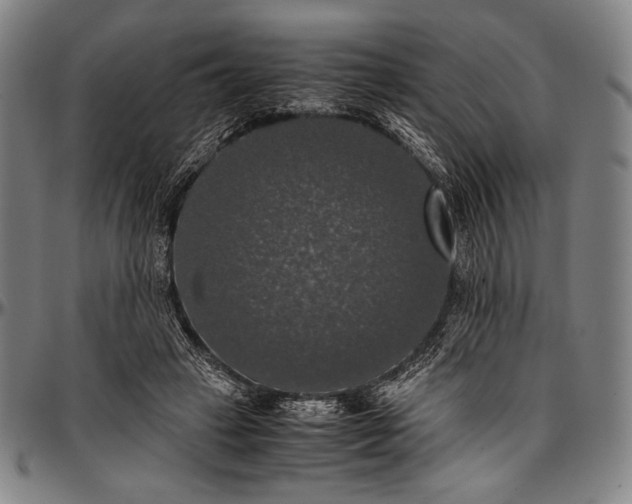 X0000097000449200802291151