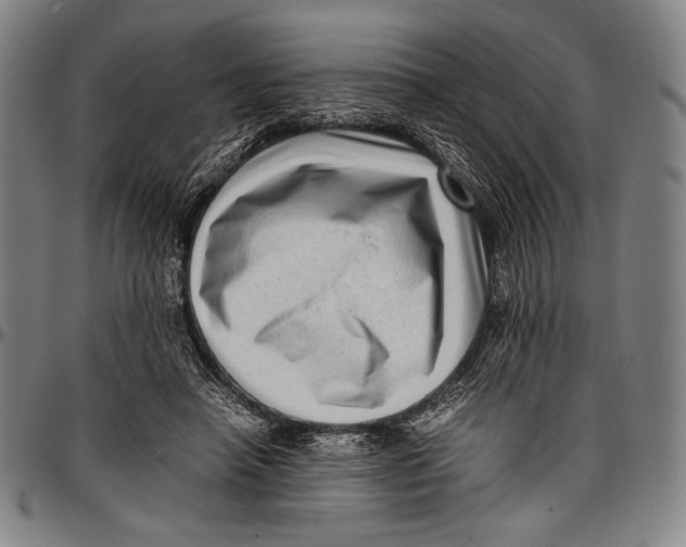 X0000097000450200802291151