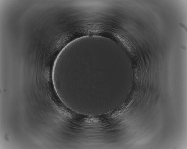 X0000097000451200802291151