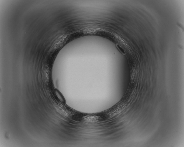 X0000097000452200802291151