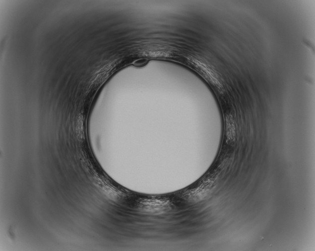 X0000097000453200802291151