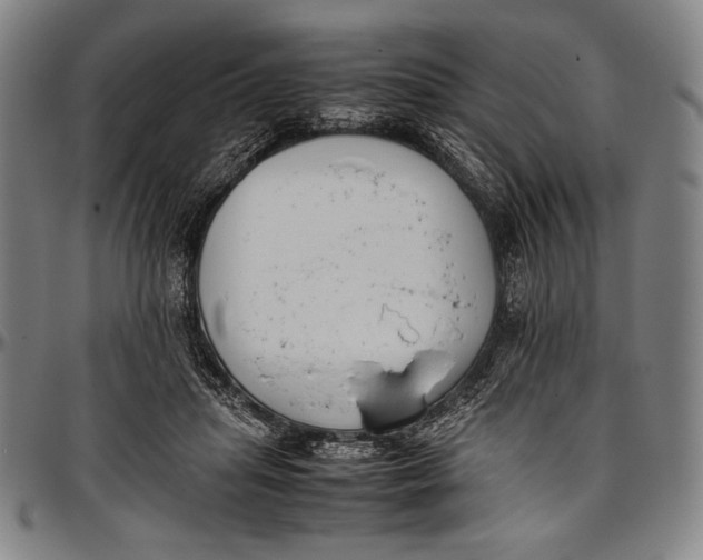 X0000097000455200802291151