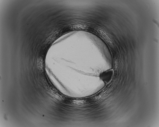 X0000097000457200802291151