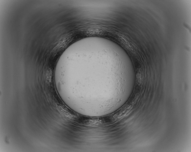 X0000097000458200802291151