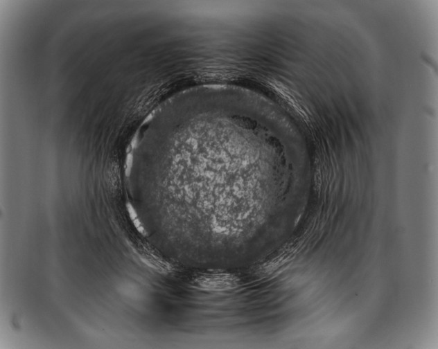 X0000097000459200802291151