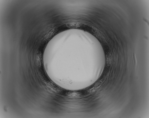 X0000097000460200802291151