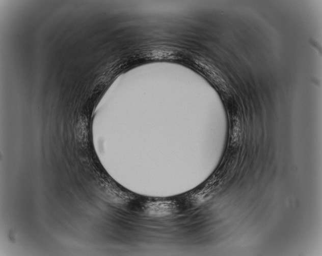 X0000097000461200802291151