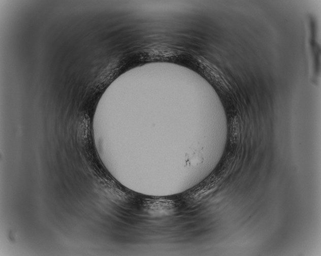 X0000097000463200802291151