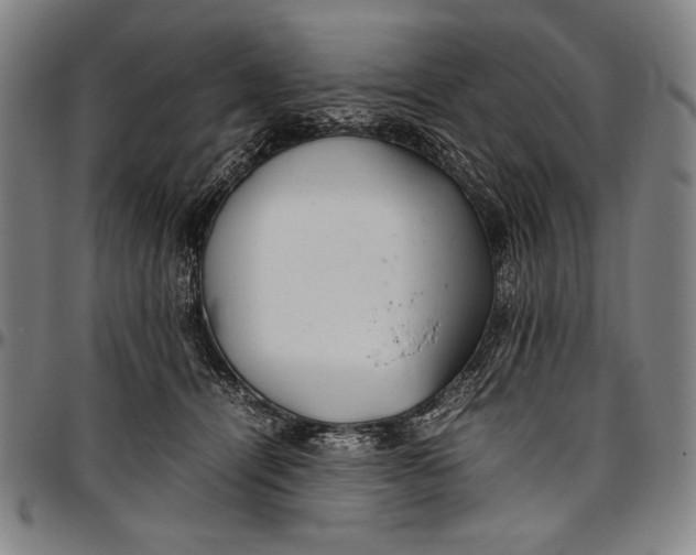 X0000097000464200802291151